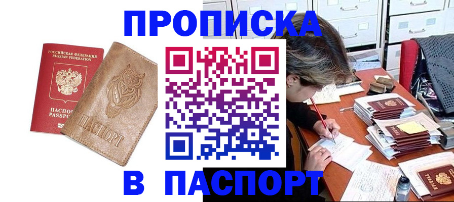 прописка законно в Щёлково